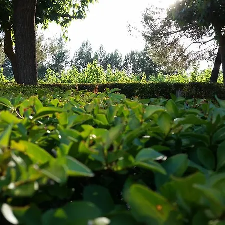 Kemp Montsant Park &