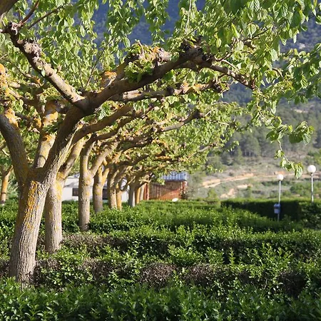 Κάμπινγκ Montsant Park & *