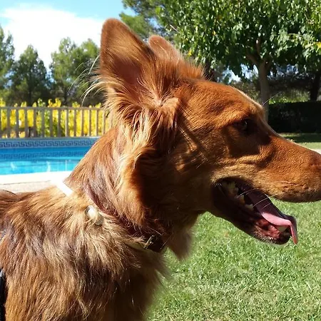 Montsant Park & Κάμπινγκ